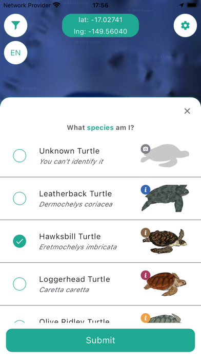 We Spot Turtles! Screenshot