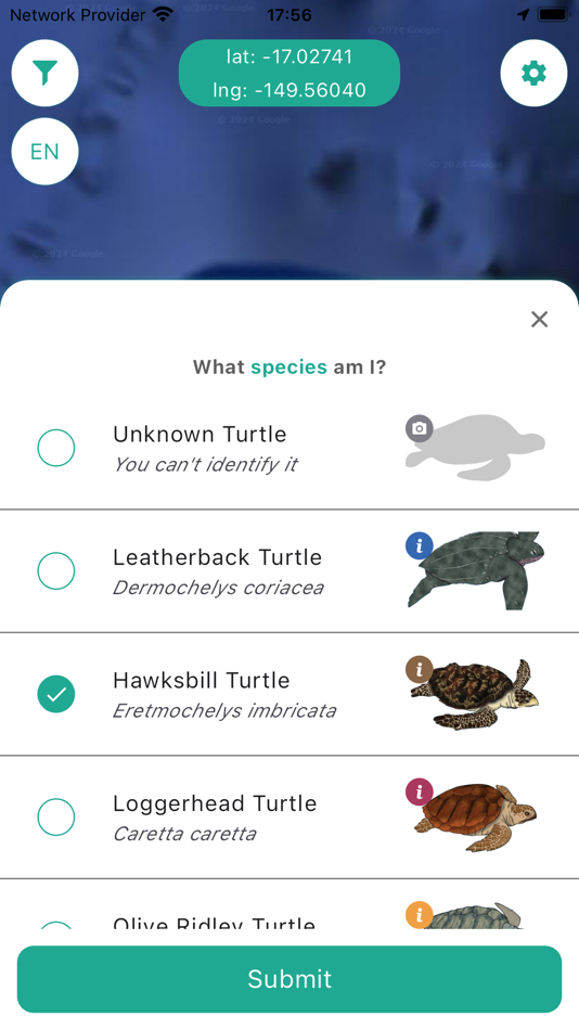#5. We Spot Turtles! (iOS) 由: alt+1