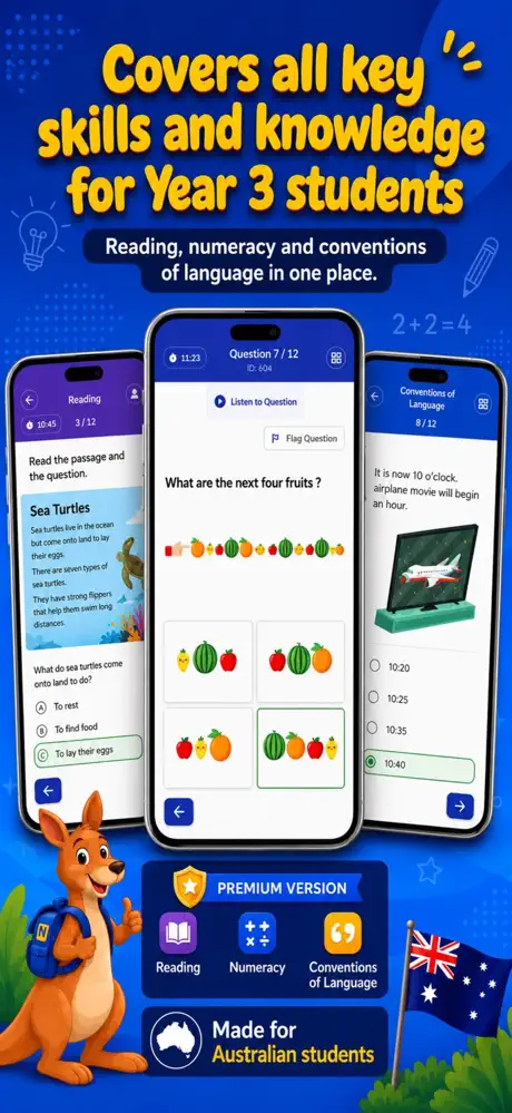 NAPLAN 3 Online Test screenshot 3