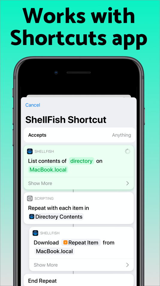 #6. SSH Client - Secure ShellFish (iOS) بواسطة: Anders Borum