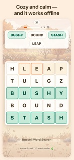 Russell Word Search screenshot 5