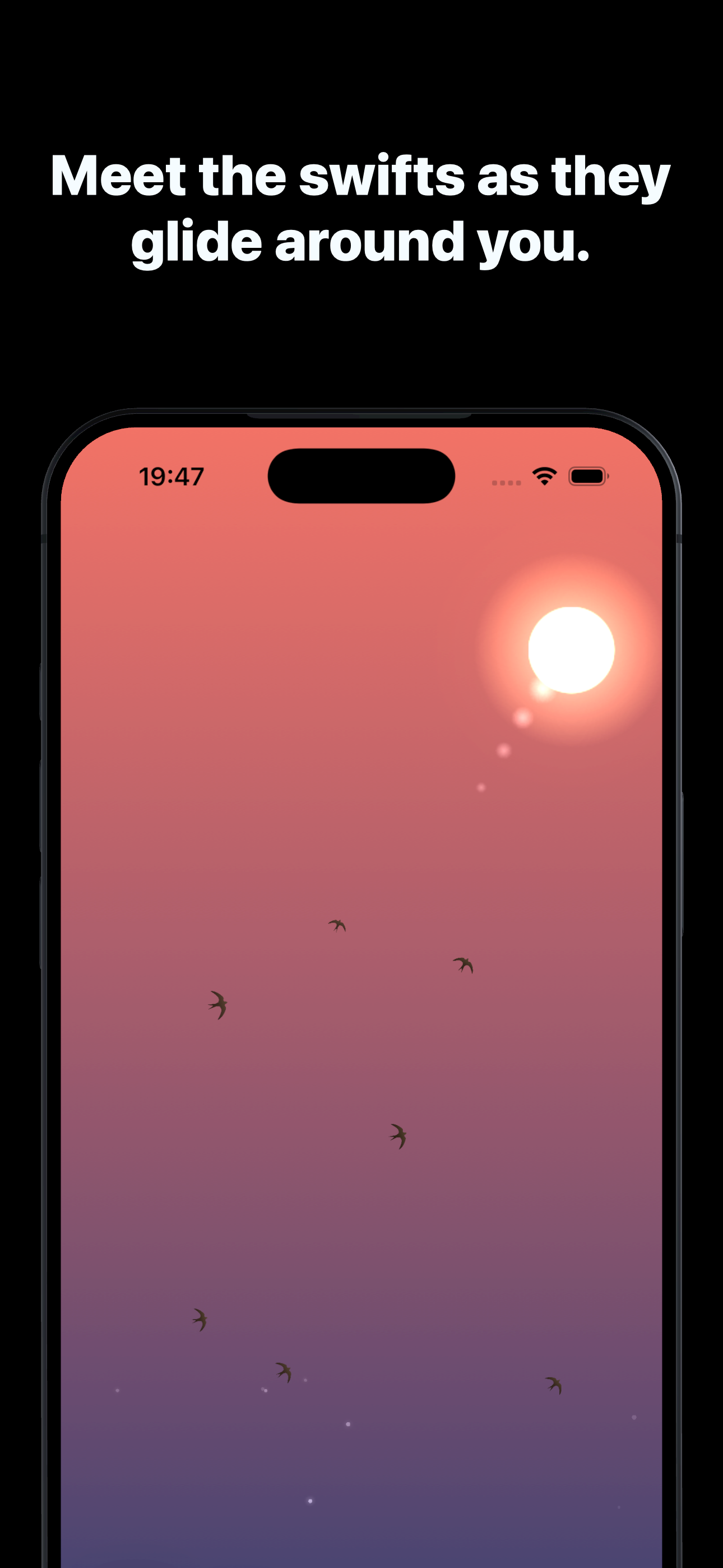 Apus Apus screenshot 2
