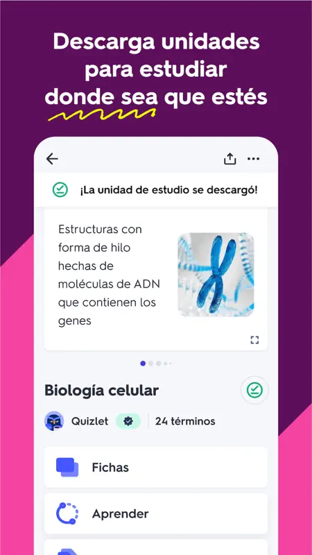 Quizlet: Aprender ingles y mas screenshot 4 of 5