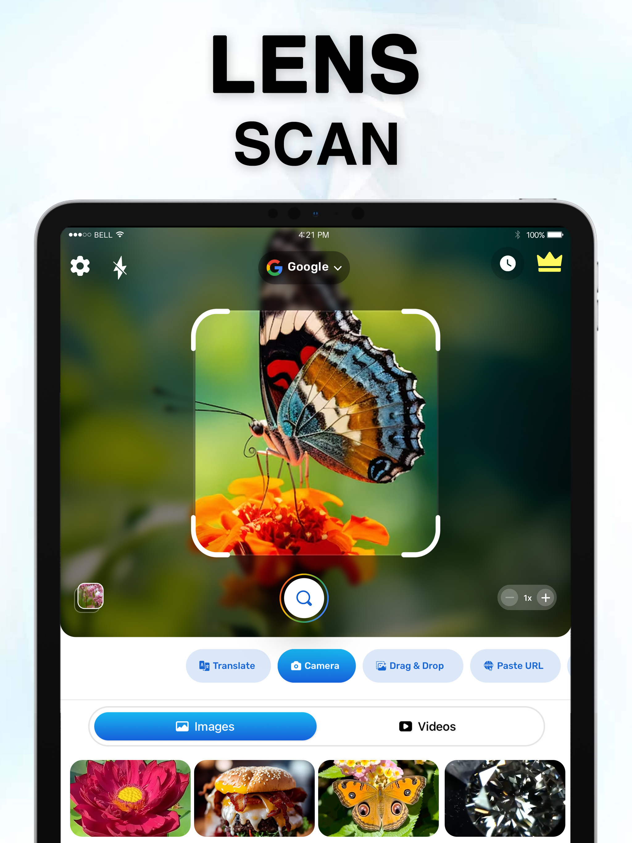 Lens AI – Identify Anything screenshot 7