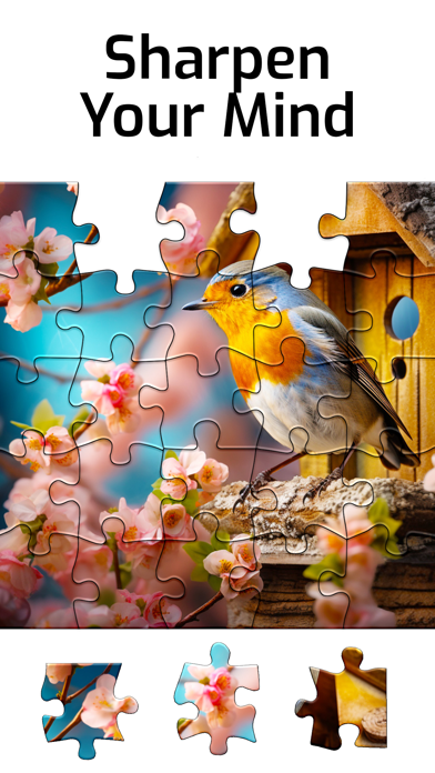 Puzzles for Seniors Screenshot