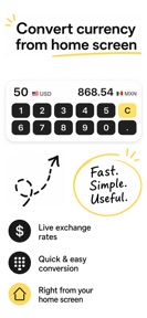 Currency Converter on Widget screenshot