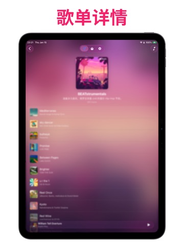 助乐 - 专属音乐助手 iPad screenshot 4