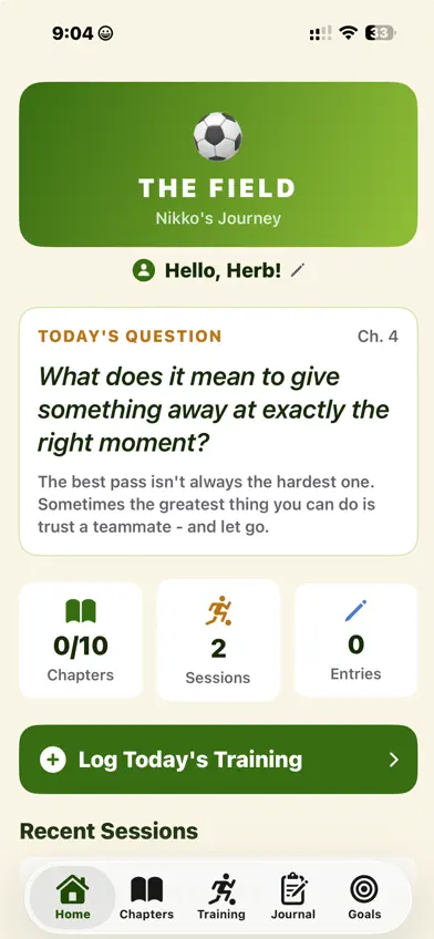 TheFieldNikko screenshot 3