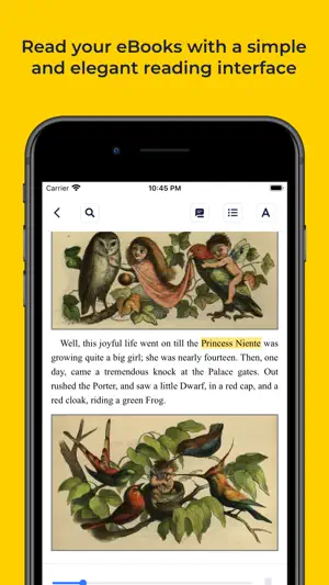 BookFusion screenshot 2