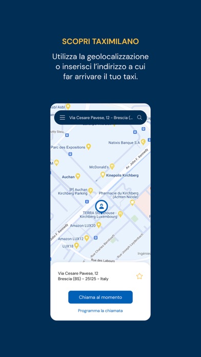 TaxiMilano Screenshot