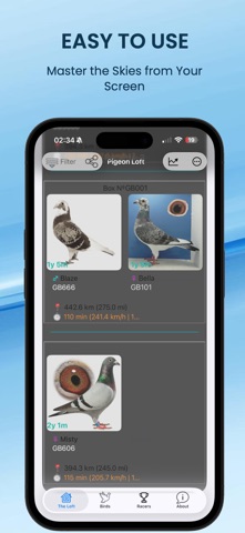 PigeonLoft Screenshot 1 of 10