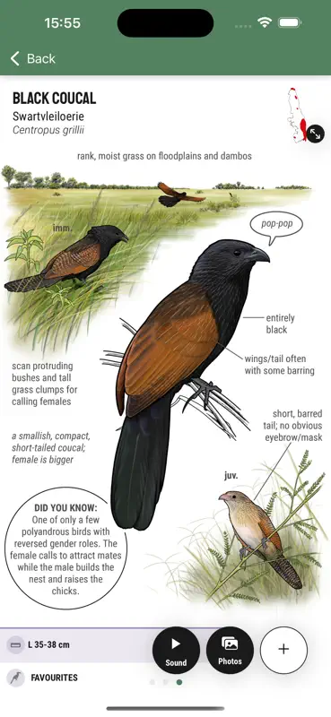 Kruger Birding by Firefinch screenshot 2 of 10