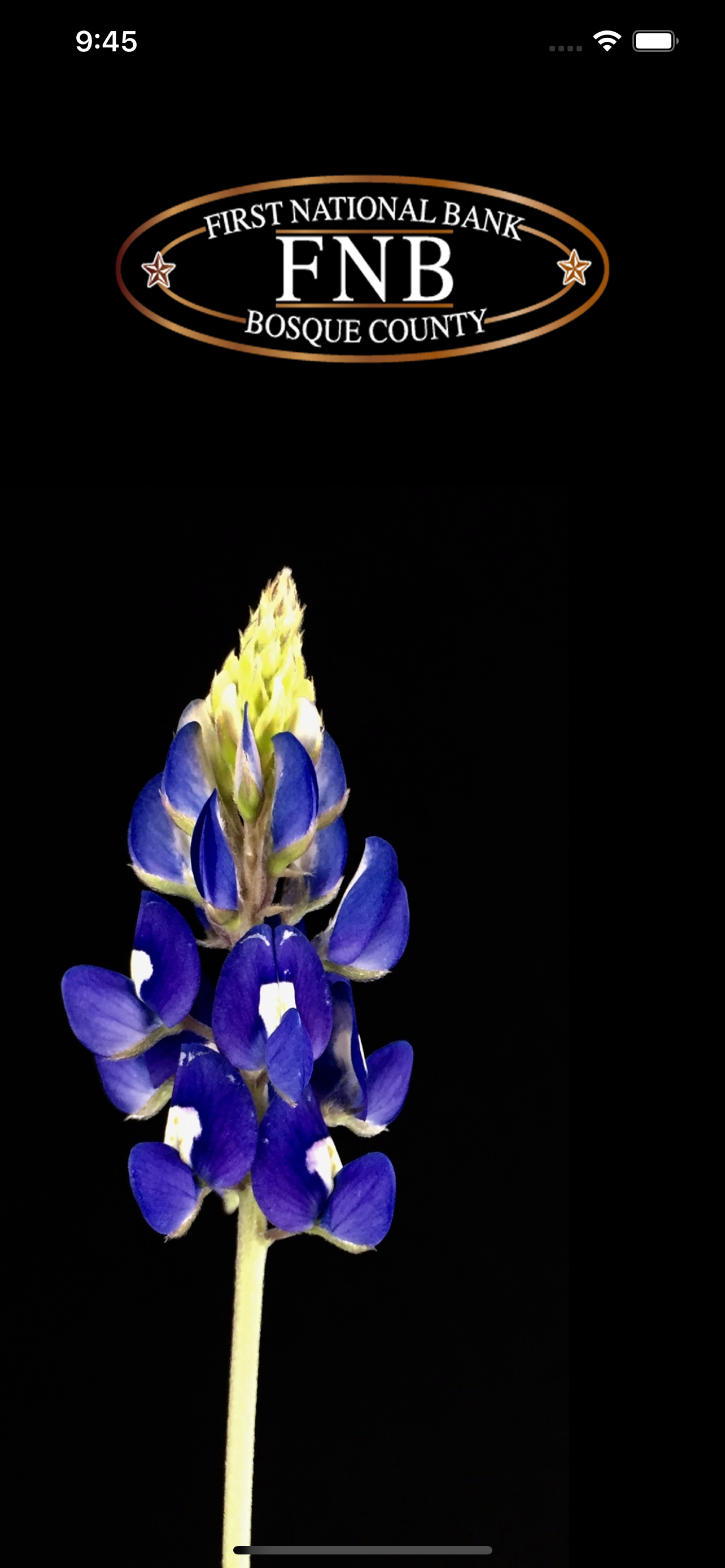 FNBBC Mobile Banking