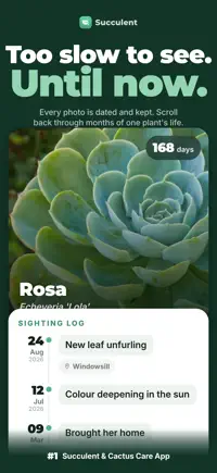 Succulent screenshot 1