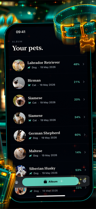 Pawkin Screenshot 6 of 6