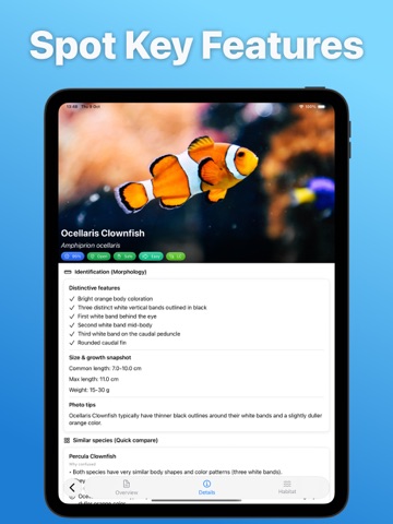 Fish Identifier - AI ID Verify iPad screenshot