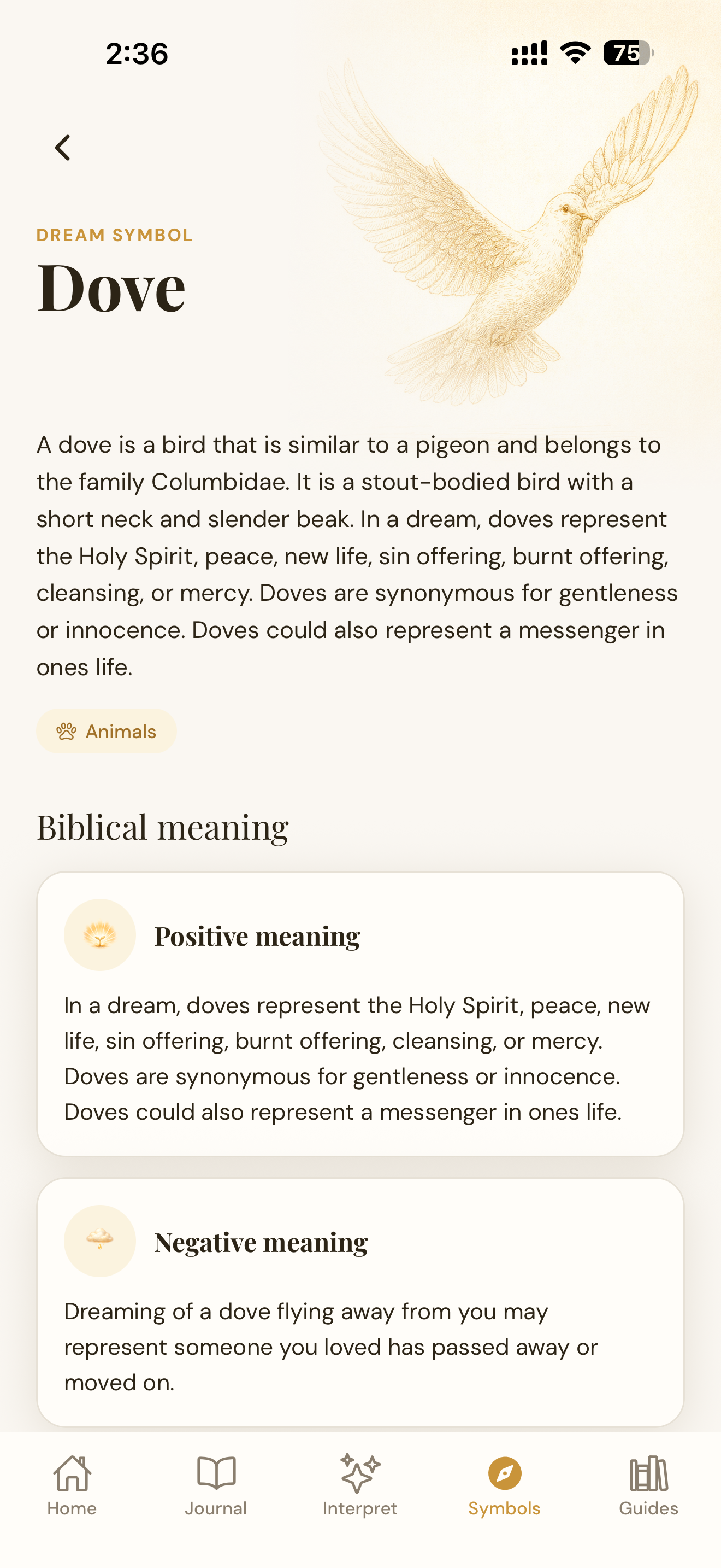DreamWord: Biblical Dreams screenshot 5