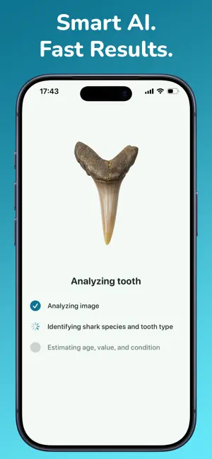 Shark Tooth Identifier:AI Scan screenshot 2