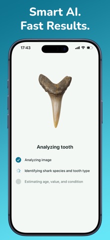 Shark Tooth Identifier:AI Scan Screenshot 2 of 6