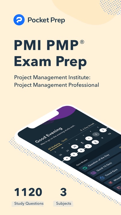 Pocket Prep PMP 2025