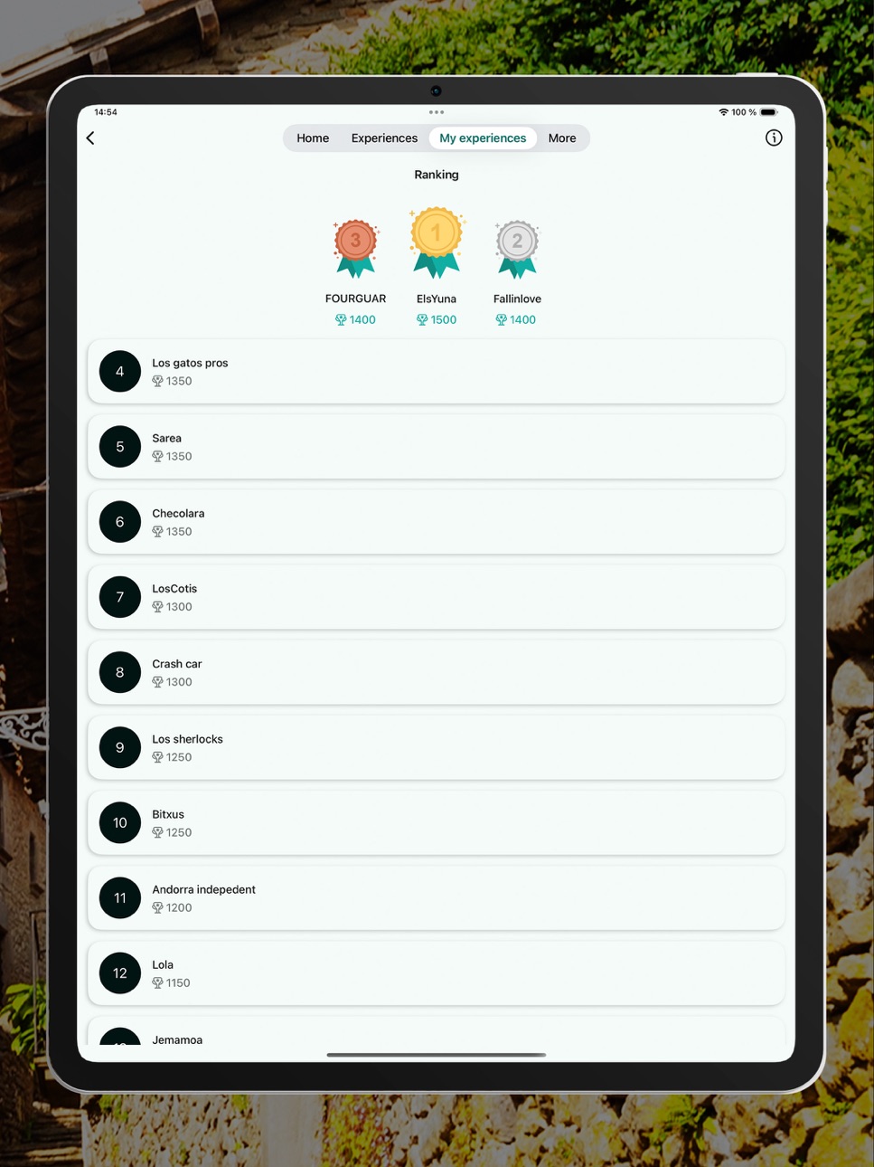 iPad screenshot