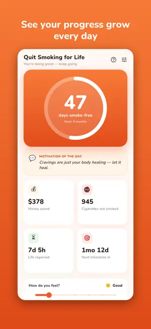 Quit Smoking for Life screenshot 1