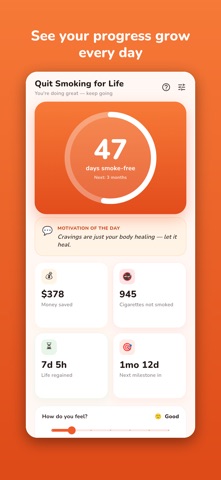 Quit Smoking for Life Screenshot 1 of 5