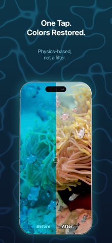 ScubAI: Underwater Photo AI screenshot