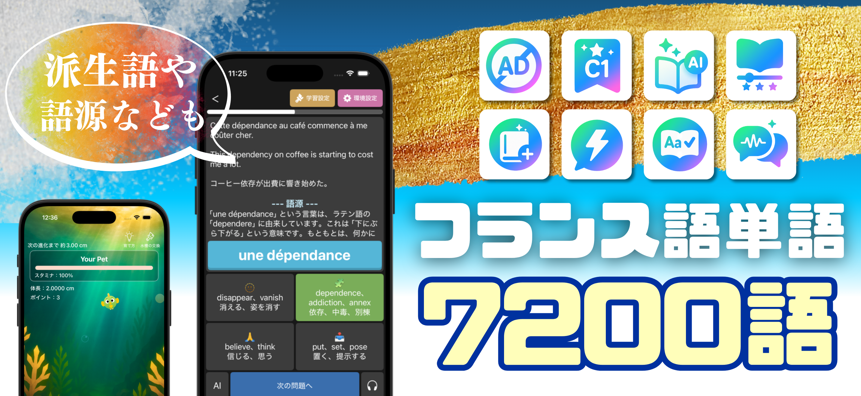 フランス語 単語 ブラクストン｜会話・文法・多読