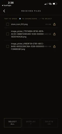 Screenshot von ZZZ FlashShare auf dem iPhone 4