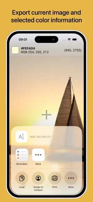 Pixel Picker: Color Inspector screenshot 3