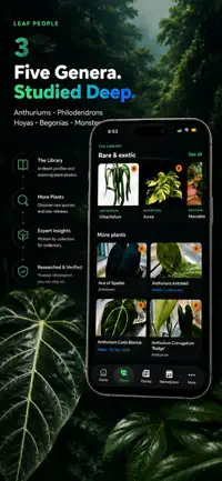 Leaf People screenshot 2