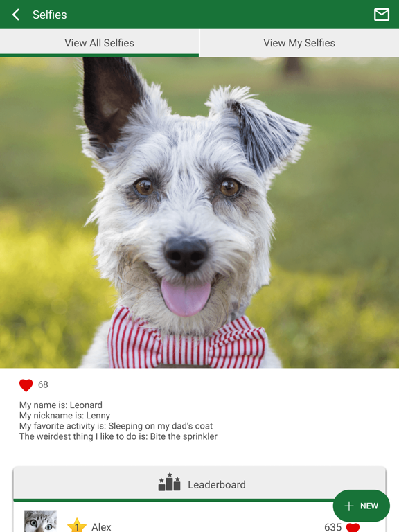 FamilyPet iPad screenshot 4 - Business app