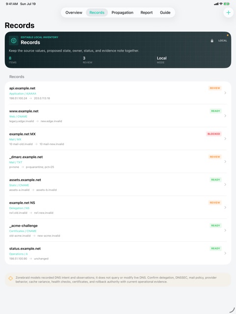 Zonebraid: DNS Change screenshot 4