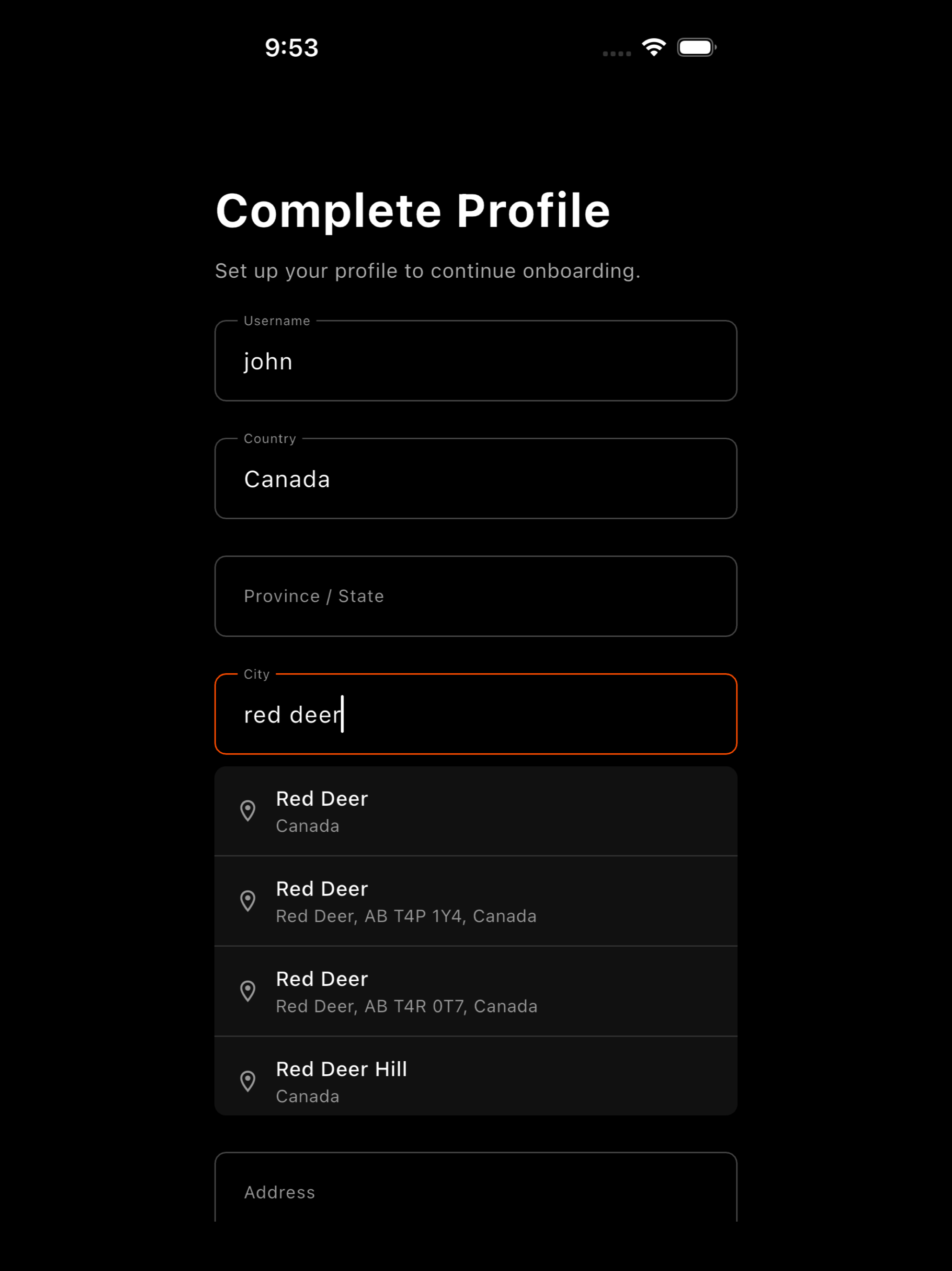 Black Chauffeurs Driver screenshot 14
