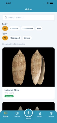 Sanibel Shell ID Screenshot 3 of 5