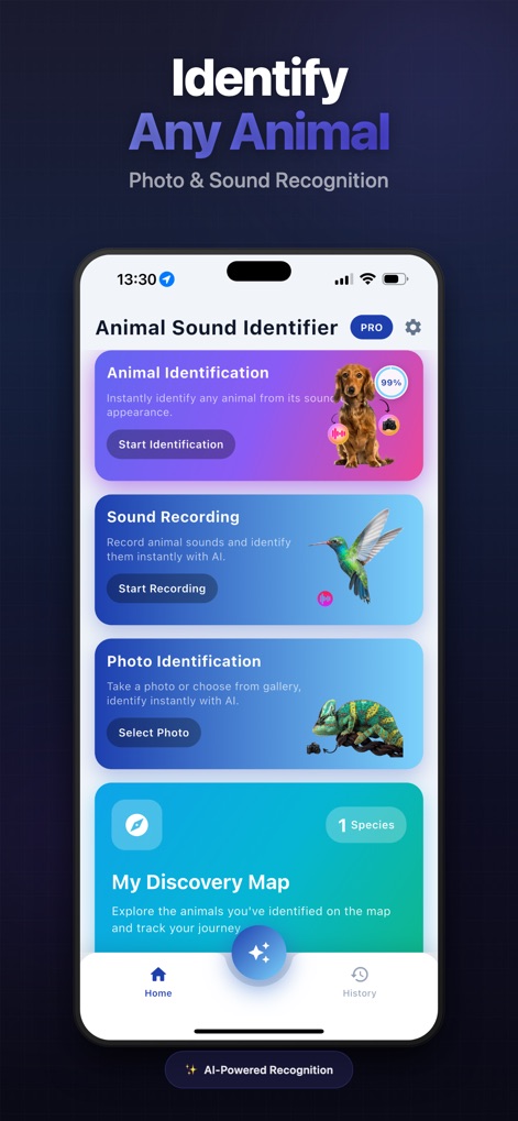 Animal Sound Identifier AI - Reference App | MWM