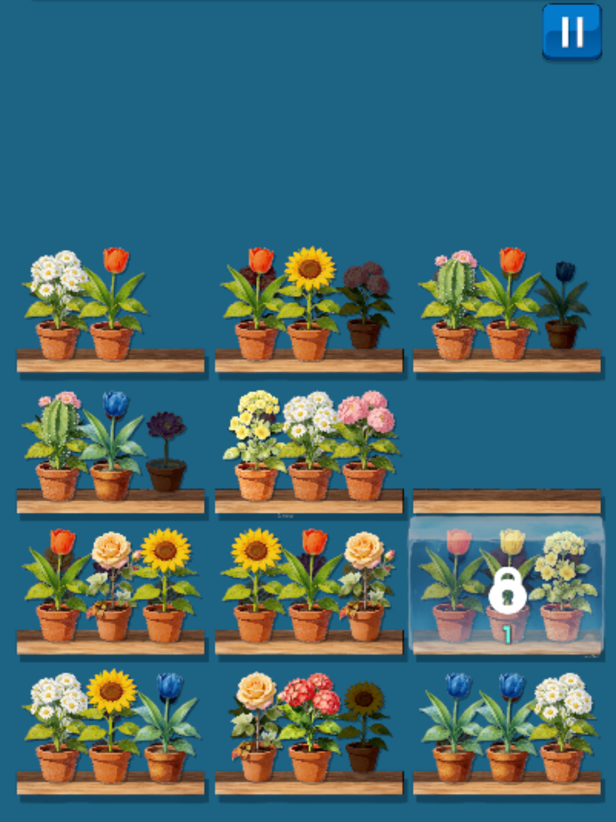 Blossom Rack: Flower Sort