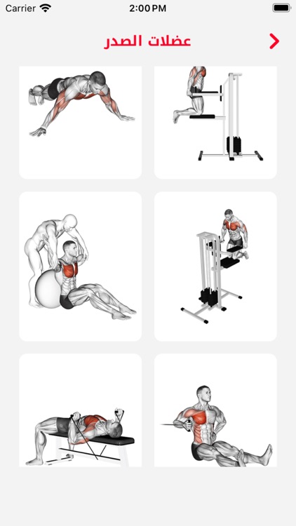Fit Pro: Home & Gym Workouts screenshot-3