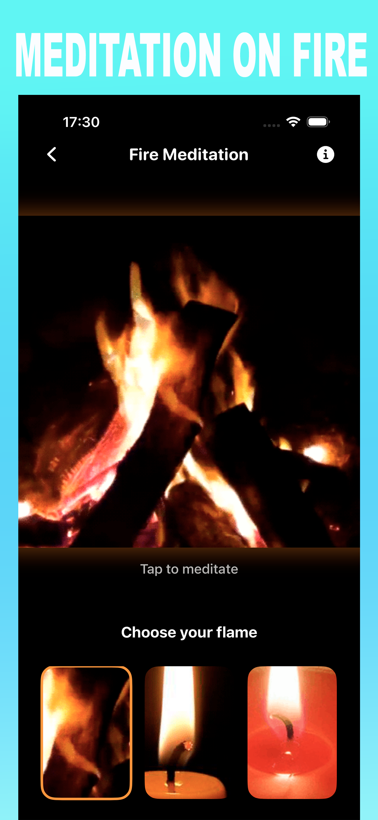 Pacification screenshot 3