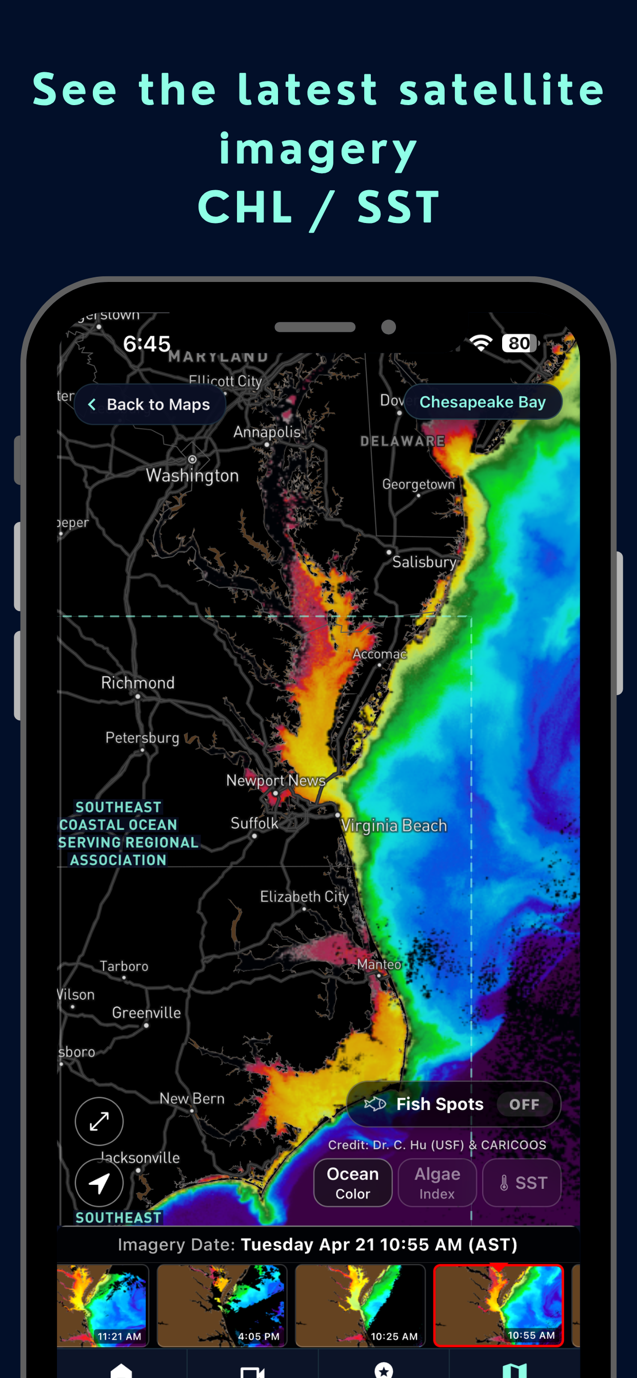 Wavemaps: Wave Forecasts