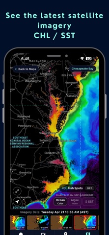 Wavemaps: Wave Forecasts screenshot