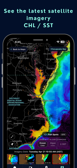 Wavemaps: Wave Forecasts Screenshot 7 of 8