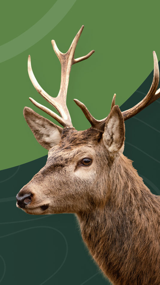 #4. Hunter’s App (iOS) 由: DAMI development s.r.o.