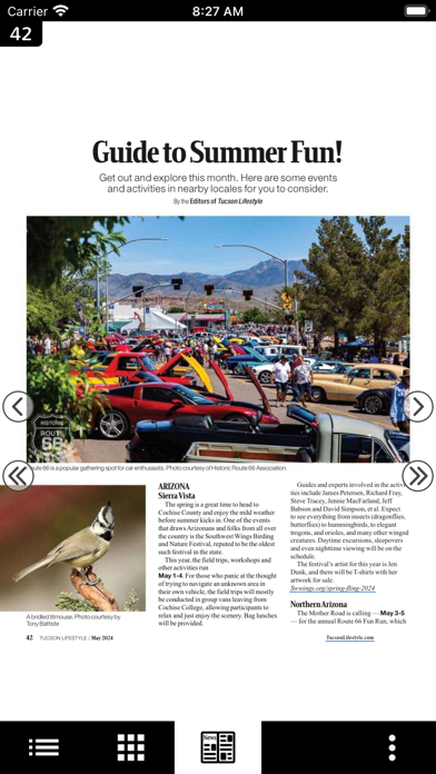 Tucson Lifestyle Magazine Screenshot