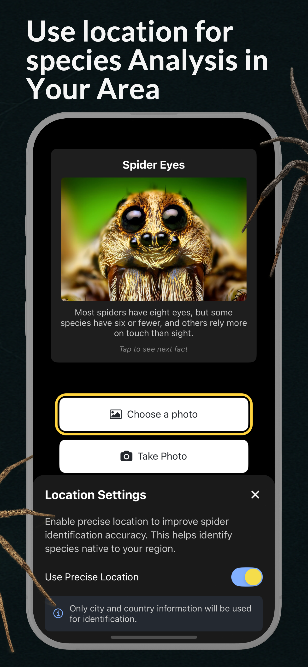 Spider Identifier Spider ID screenshot 4