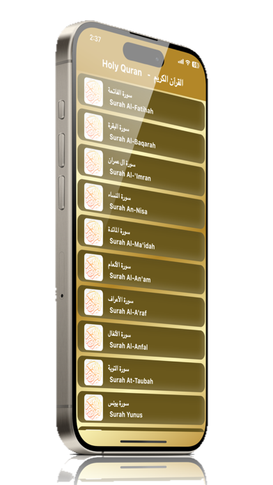 Maher Maeqli Quran mp3 offline Screenshot