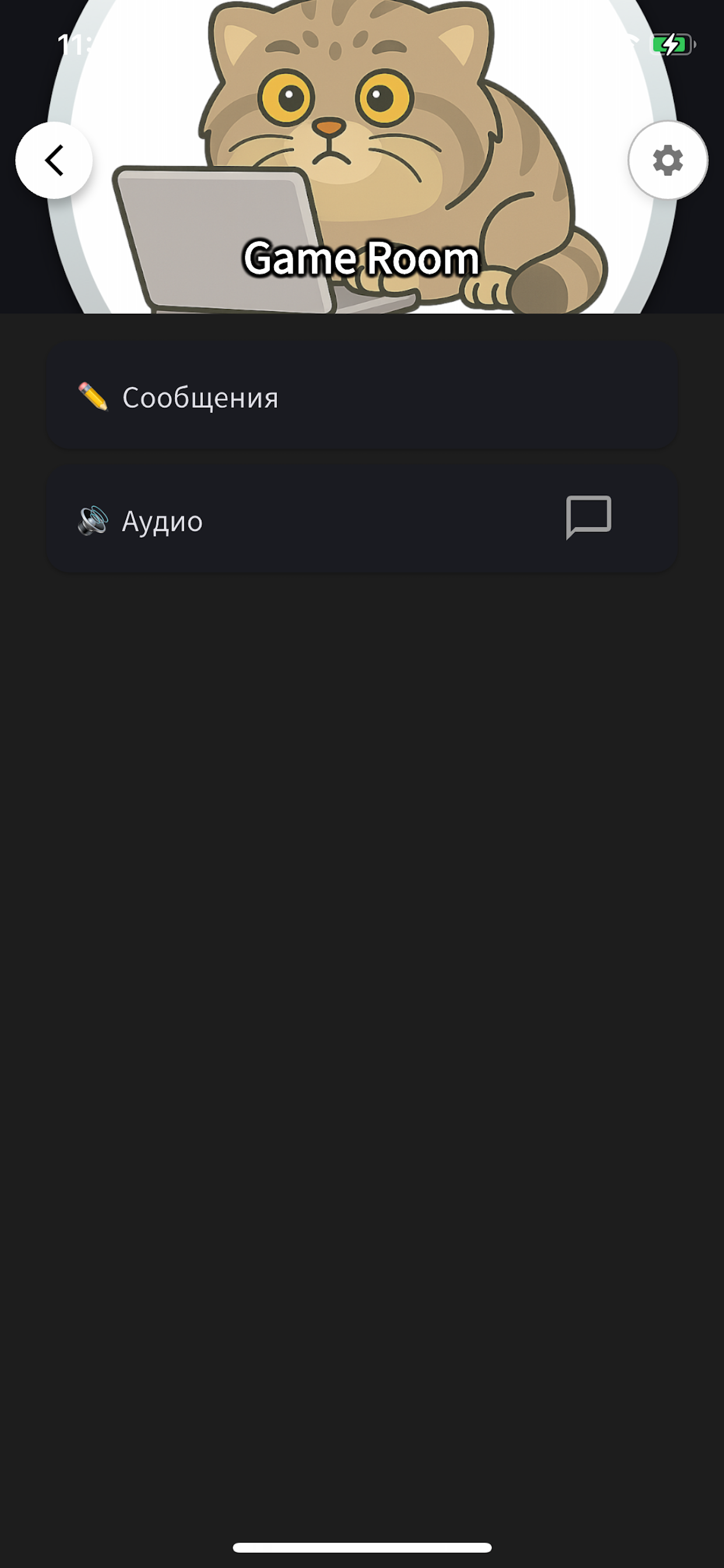 Связь RM screenshot 5