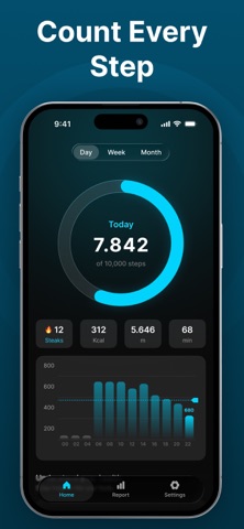 Stepwell: Walking Step Counter screenshot