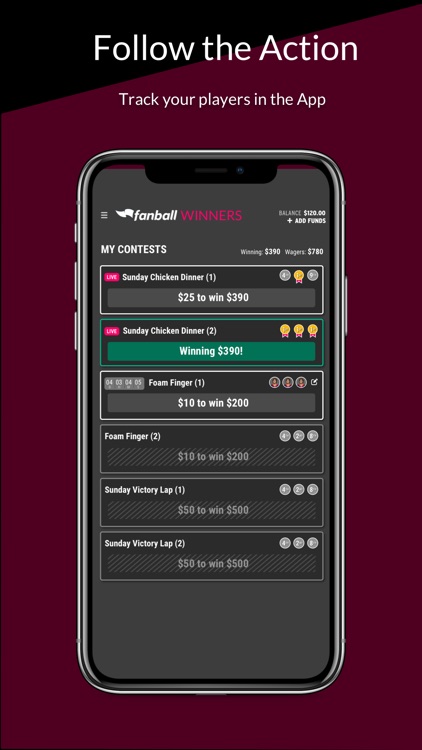 Fanball Winners screenshot-5